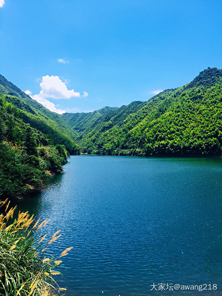 浪里个浪_旅游