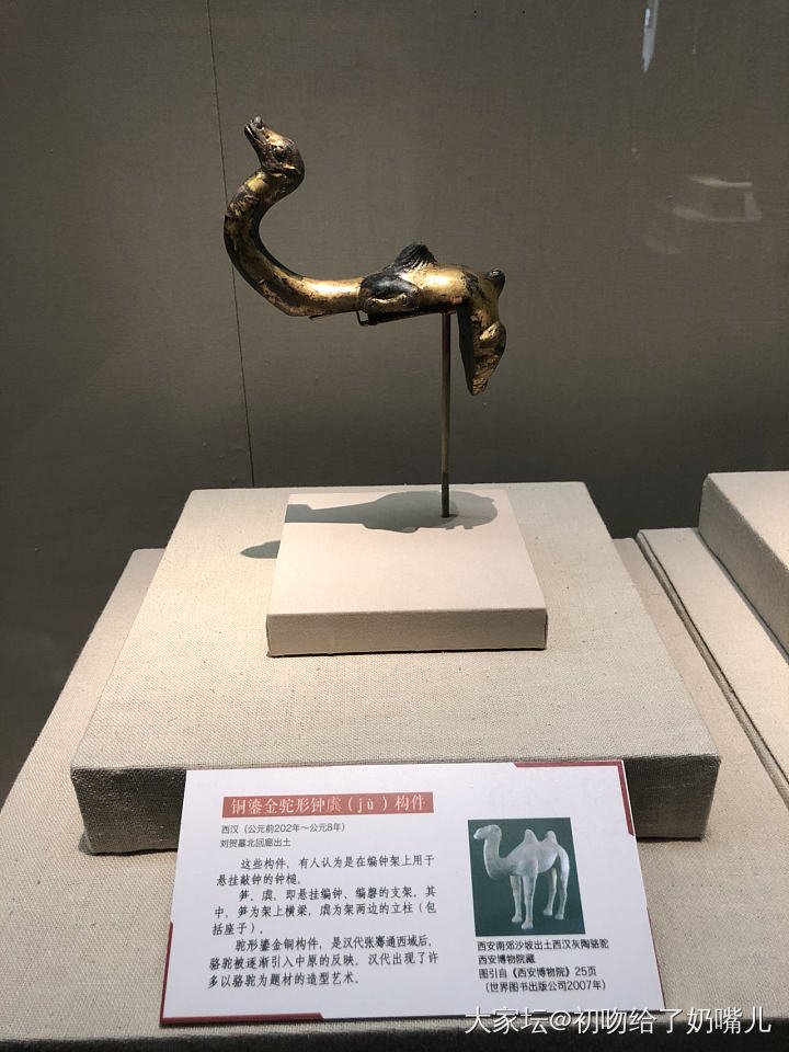 来看宝藏男孩展_金博物馆