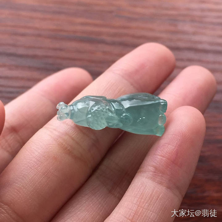 晴底木讷雪花棉斑点狗_翡翠