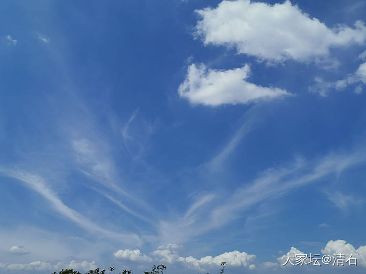 凤舞九天😇_景色