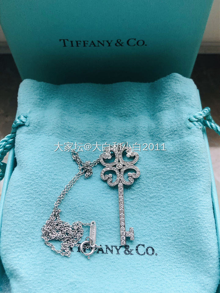 Tiffany鸢尾花钥匙_钻石