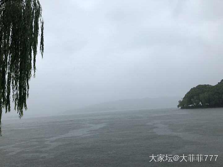 雨西湖_旅游