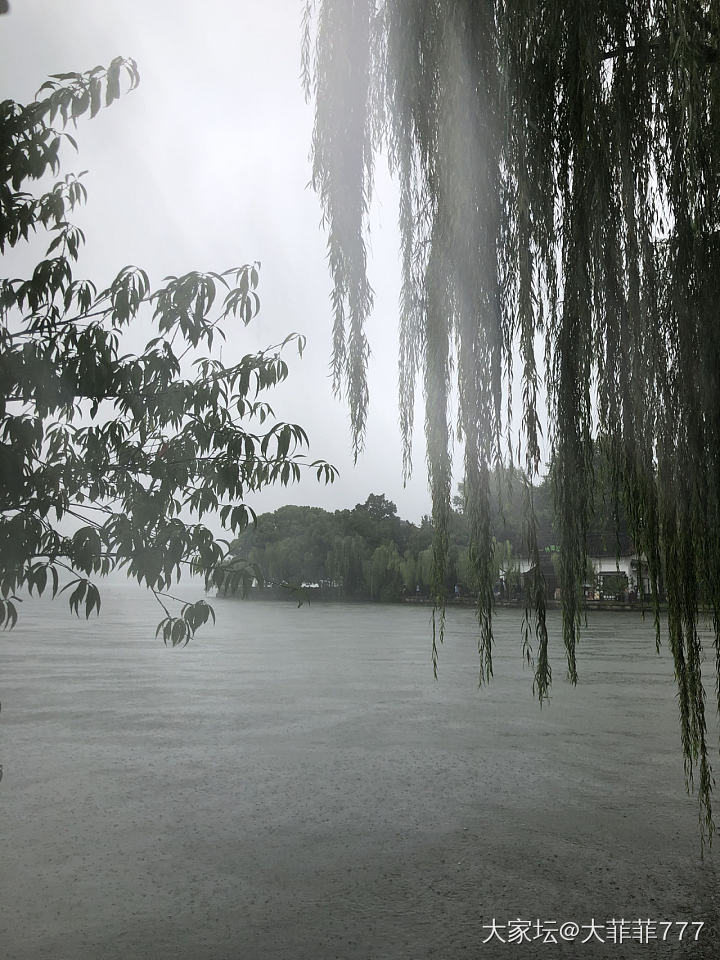 雨西湖_旅游