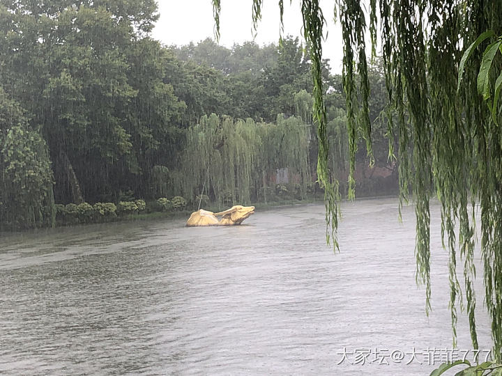 雨西湖_旅游