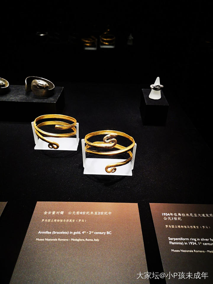 宝格丽…灵蛇传奇_展会奢侈品