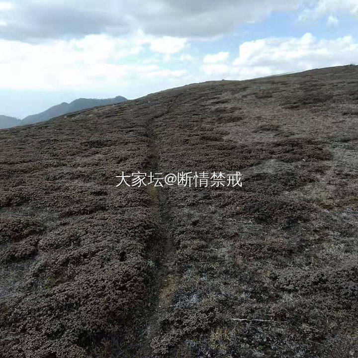 拆迁的山村_闲聊