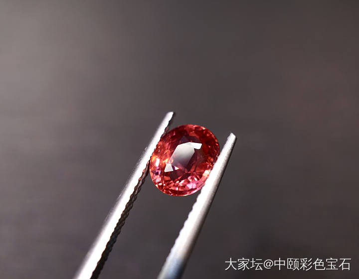 ##中颐天然未加热莲花蓝宝石##  1.51ct_刻面宝石蓝宝石