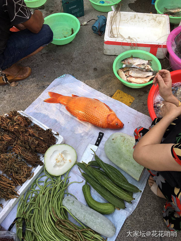 好奇这个怎么钓上来的_食材