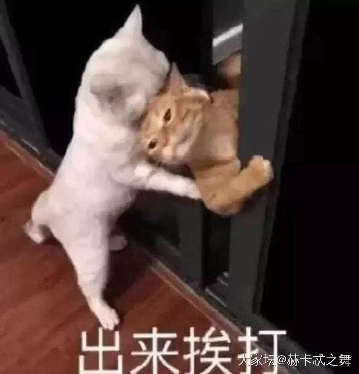 一年不买，立贴为证_金