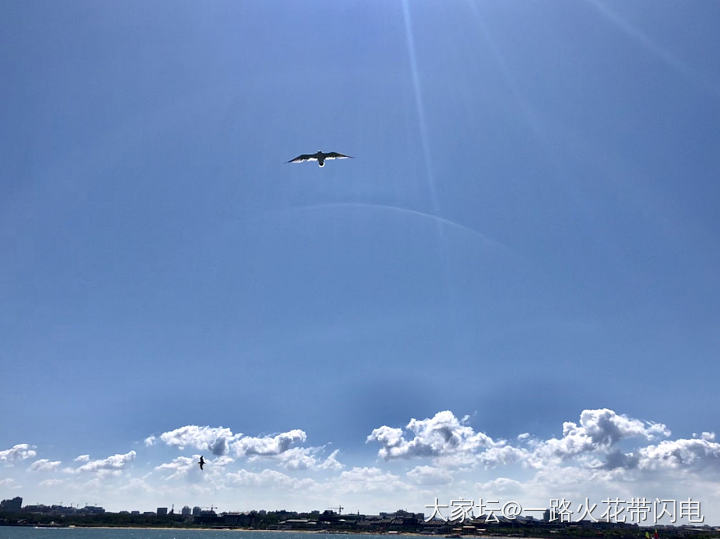 天地—沙鸥_旅游