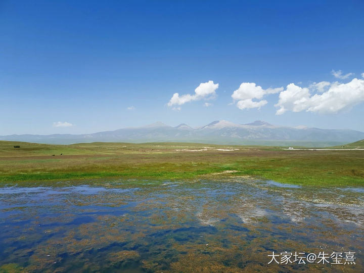 带着串串去旅游，然而，忘了拍串串……_旅游