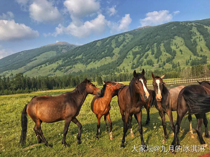 发一些七月末去新疆旅游的图图_新疆旅游