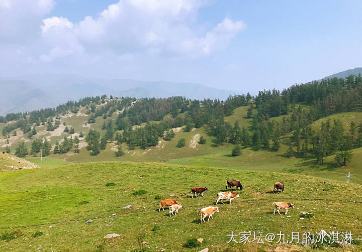 发一些七月末去新疆旅游的图图_新疆旅游