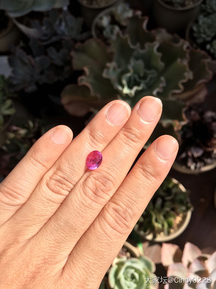 阳光☀️下的粉蓝宝_蓝宝石