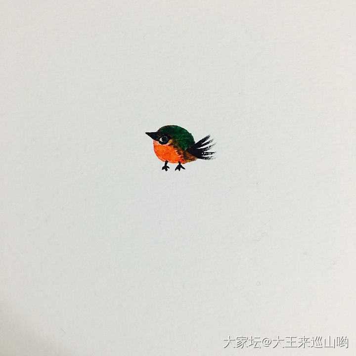 画只小翠鸟_闲聊