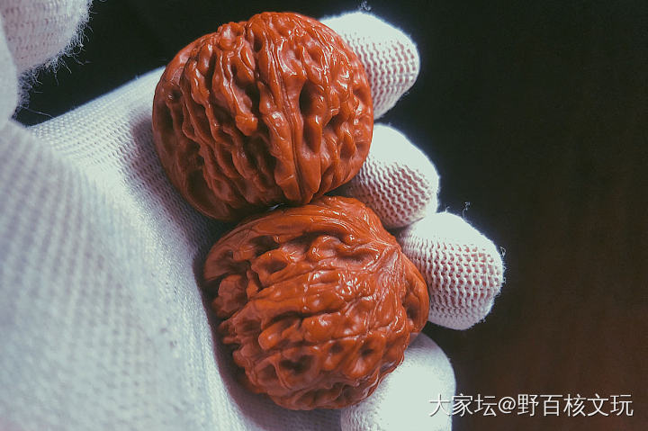 你手握的那对核桃润了吗？_核桃