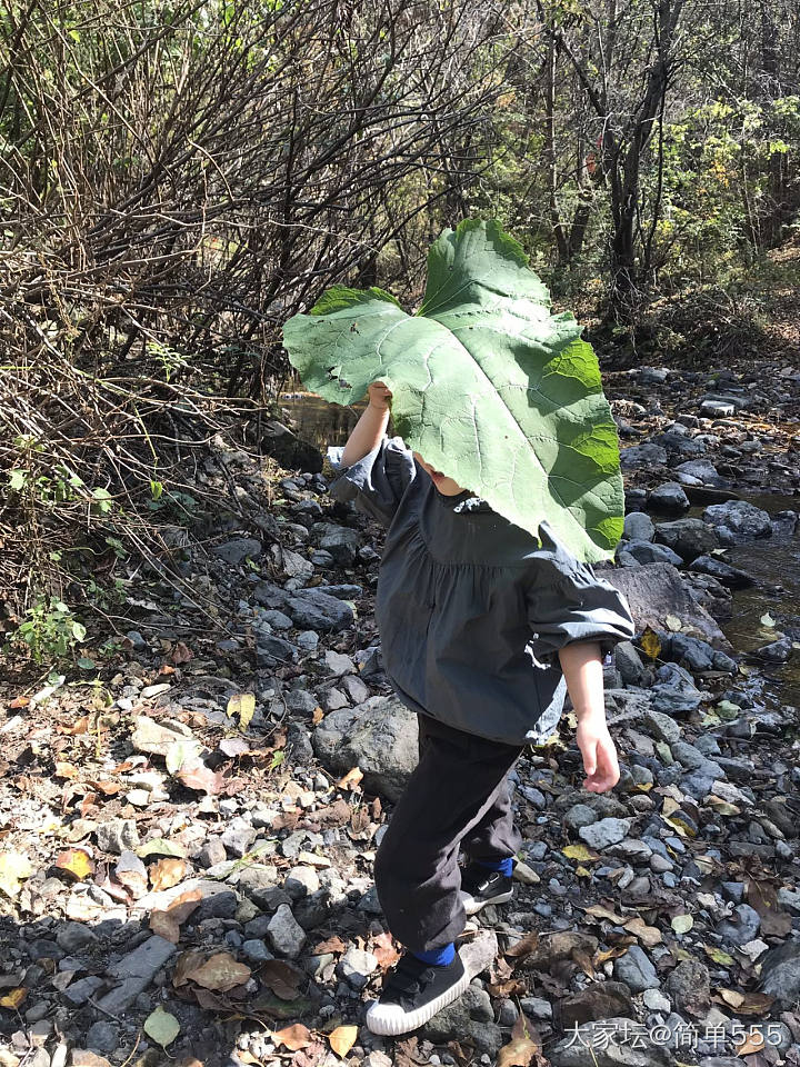 这个颜色艳丽纯净_植物