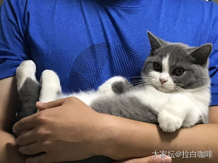 崽子四个月啦～附私密果照_猫