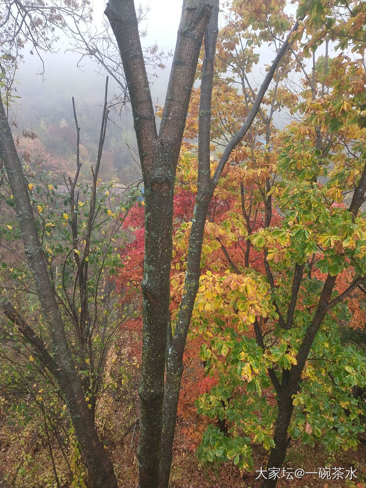 长白山旅游归来_旅游