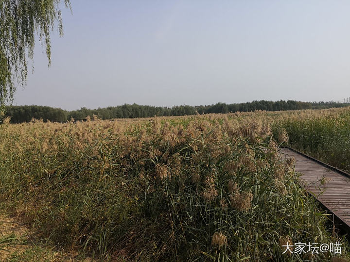 美好的节日总是短暂的～今年解锁的新景点还不错，适合春季踏青，秋游也不错。瞬间降温..._旅游