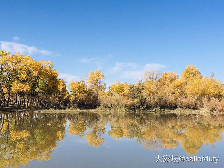 荒凉的古堡中，谁在反弹着琵琶……_旅游