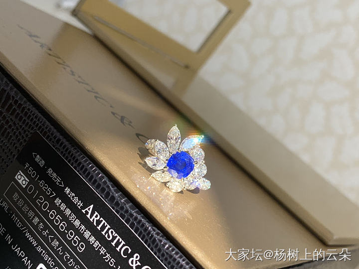克什米尔蓝宝宝顺便晒狗子_名贵宝石