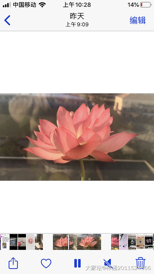 有点长草帕帕拉恰_蓝宝石