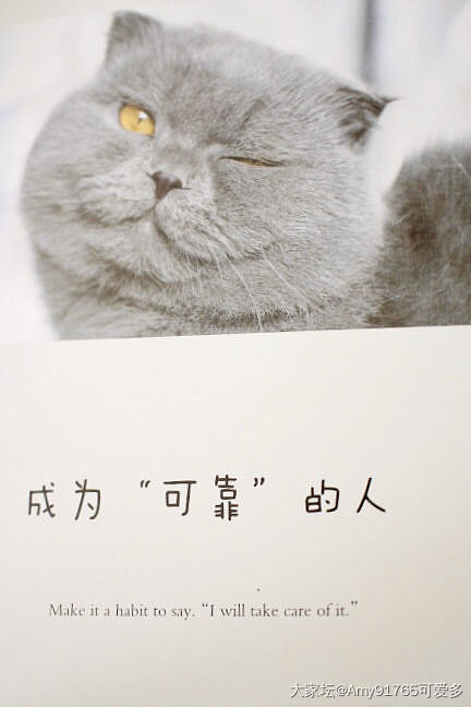 猫汤帖😂快来撸猫读书吧_读书闲聊