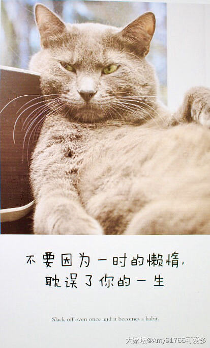 猫汤帖😂快来撸猫读书吧_读书闲聊