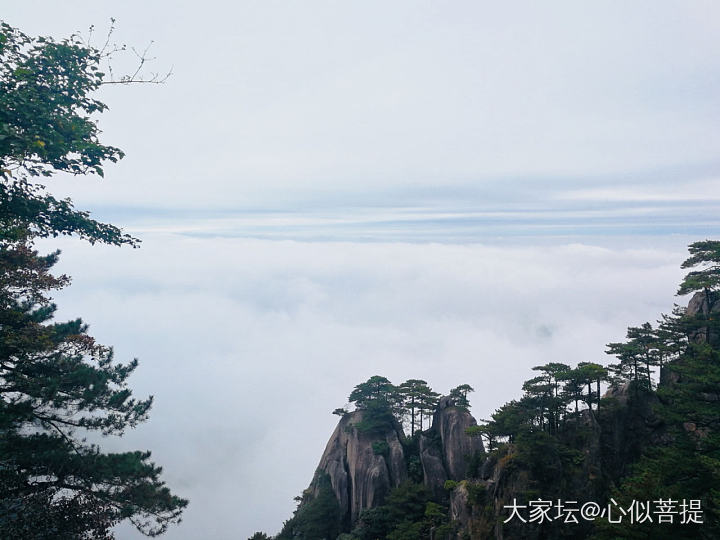 再登九华、殊胜欢喜🙏_旅游