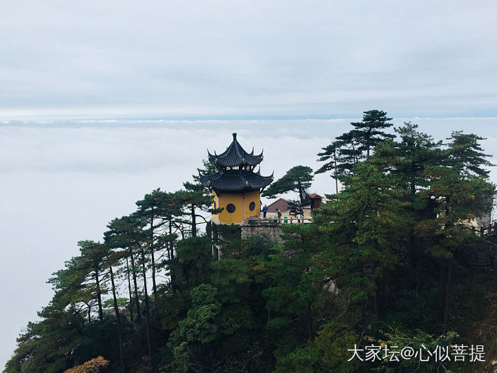 再登九华、殊胜欢喜🙏_旅游