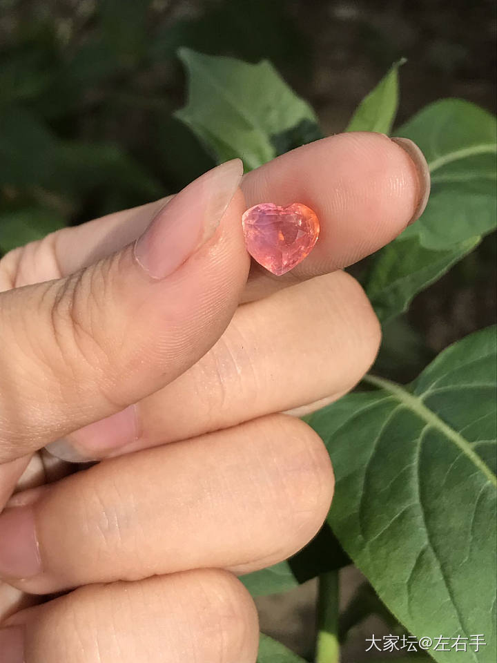 有点长草帕帕拉恰_蓝宝石