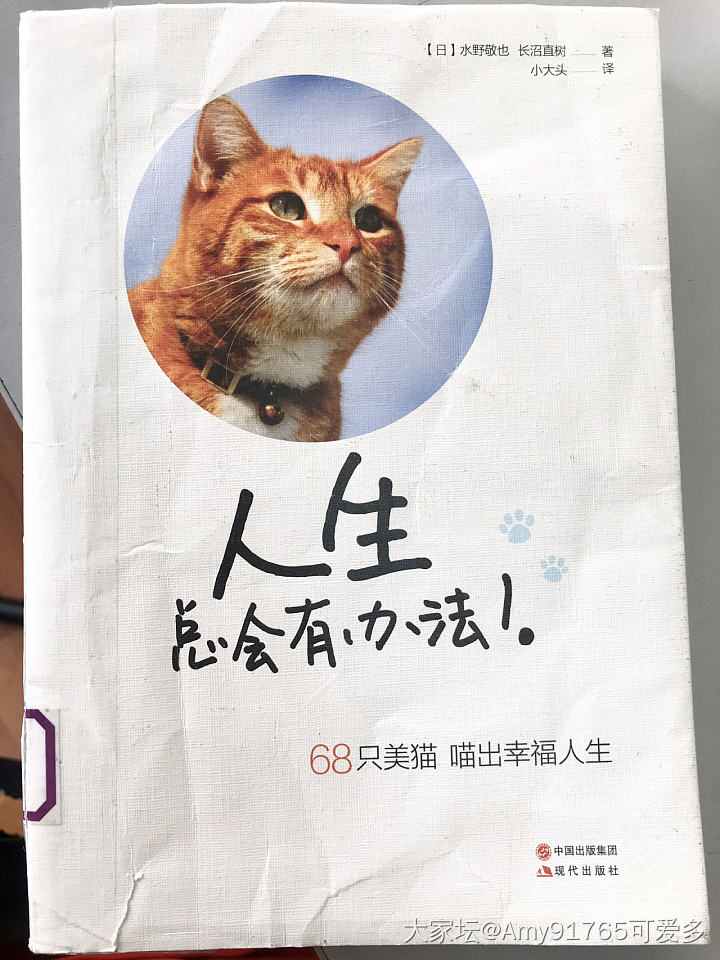 猫汤帖😂快来撸猫读书吧_读书闲聊