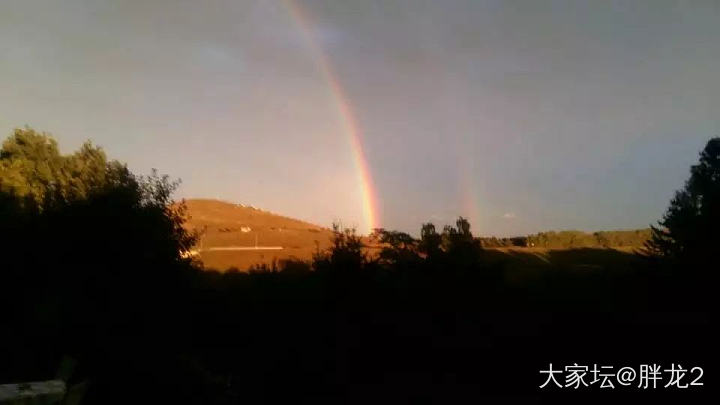 今天在家附近散步拍到的霓虹_摄影