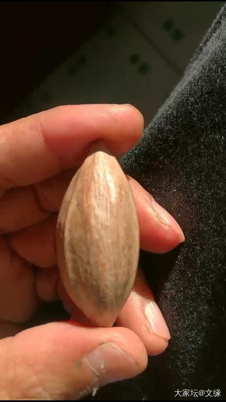 一颗橄榄核的完美蜕变_橄榄核