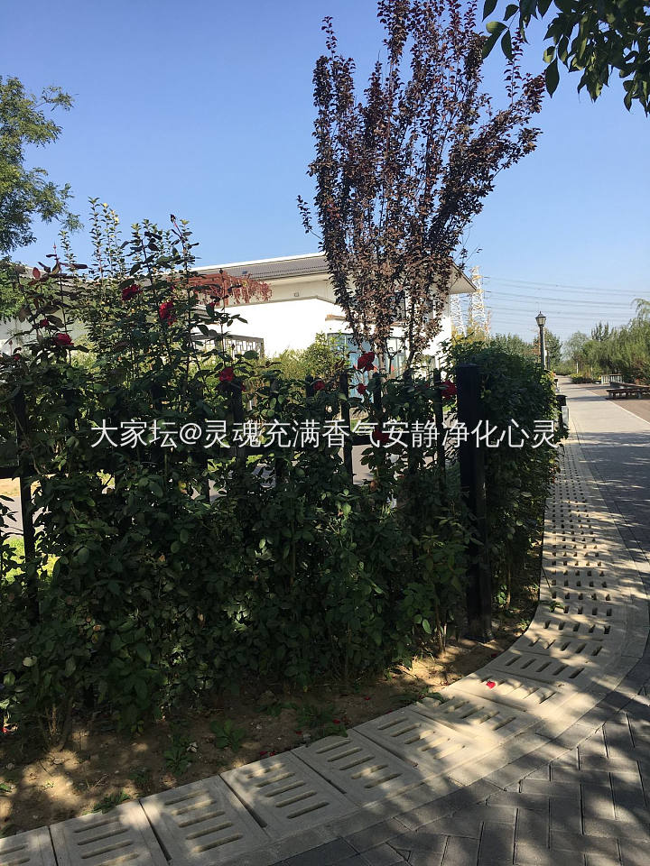 小区百米之内，又一处健身好去处_景色闲聊大家谈旅游