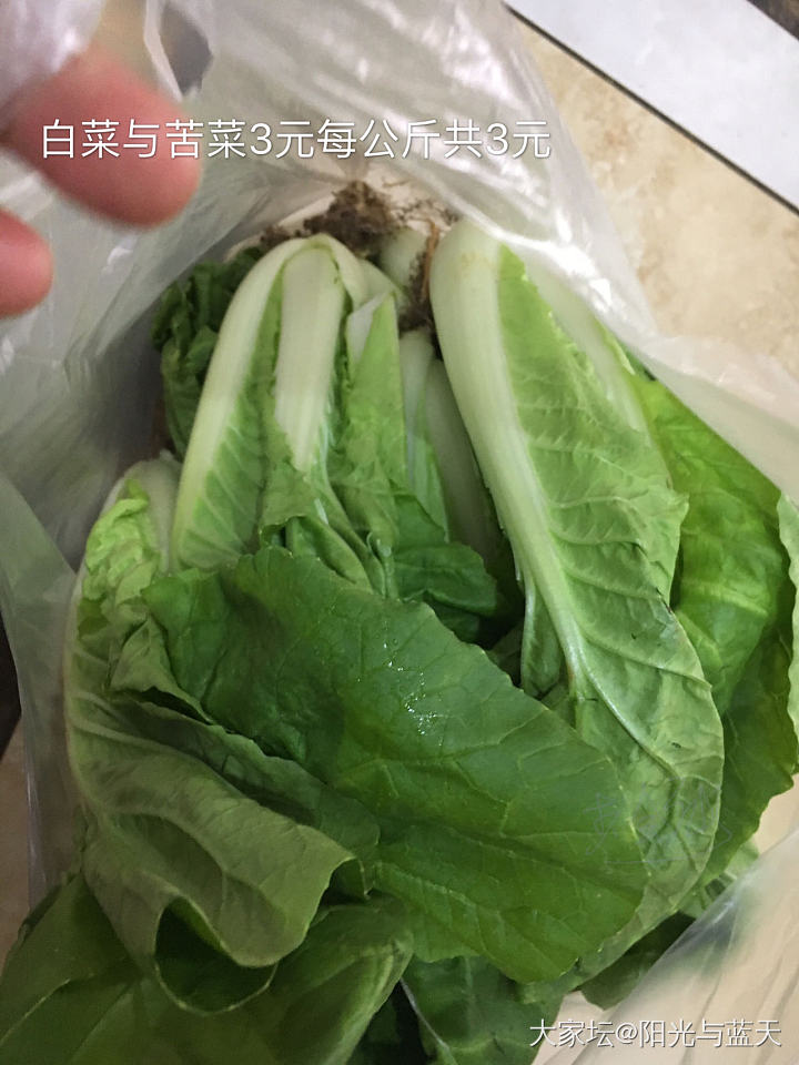 买菜归来，物介有升有降，农贸市场一片欣欣向荣的景象！_食材