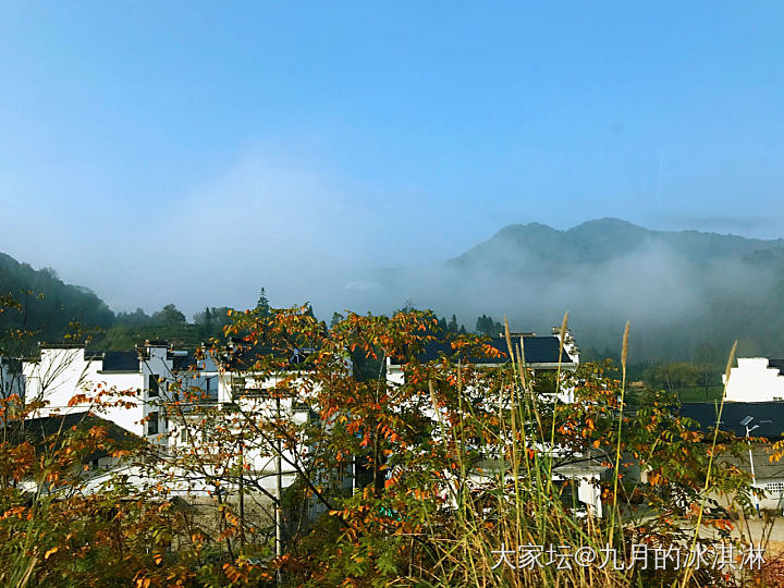 皖南~每次去从不失望_合肥旅游