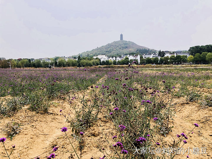 彩虹🌈泡泡，早上好🌞😃☀️_闲聊