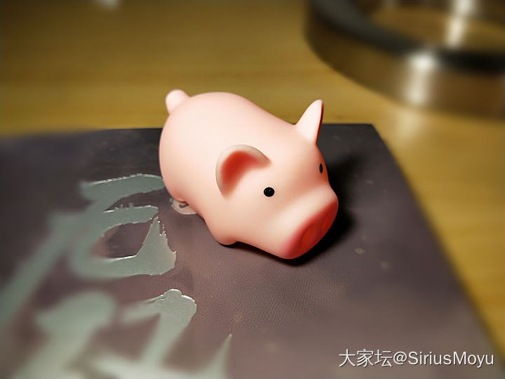 吃不起猪肉，养头🐷解馋吧_闲聊