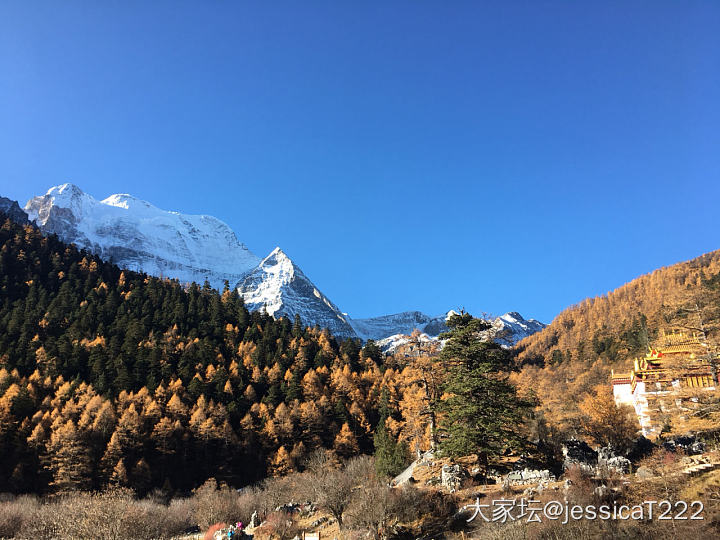 稻城亚丁_旅游