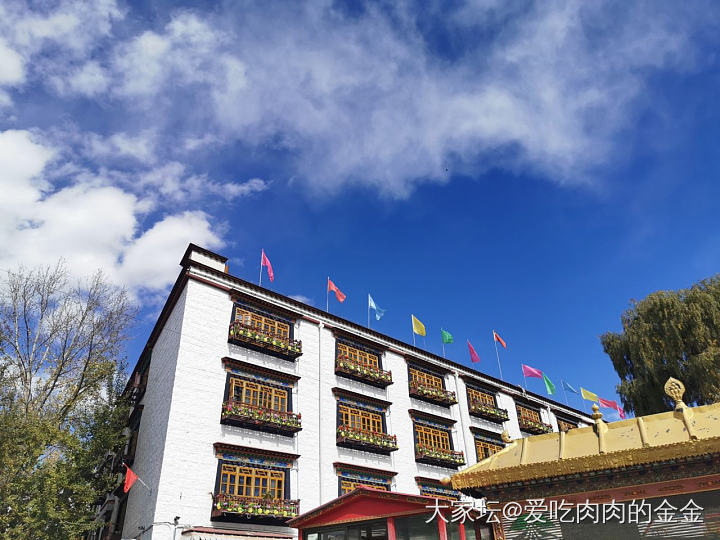 第一次到西藏…你们有高反吗？_西藏旅游