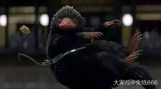 百宝箱_琳琅满目名贵宝石钻石金