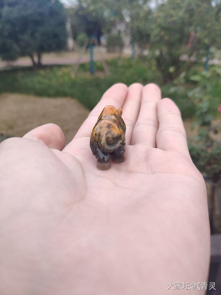 大家看看这个如何_和田玉花件