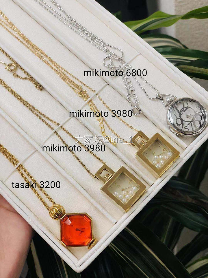 tasaki 和mikimoto的表_珍珠