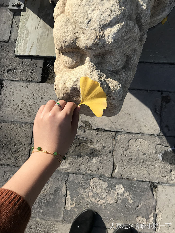 北京的秋充分满足了我的银杏情节🌿🍂_旅游