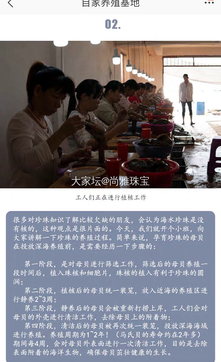 日常分享中国海水珍珠小知识_珍珠