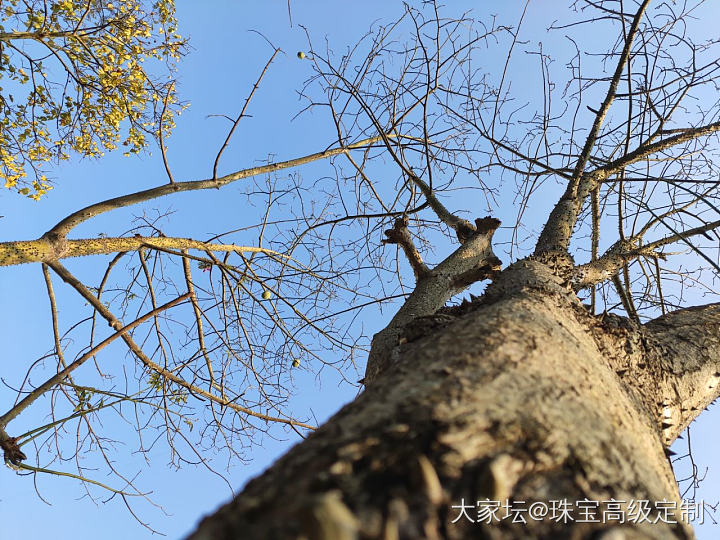 广东的天气，比女朋友变脸还要快～_闲聊