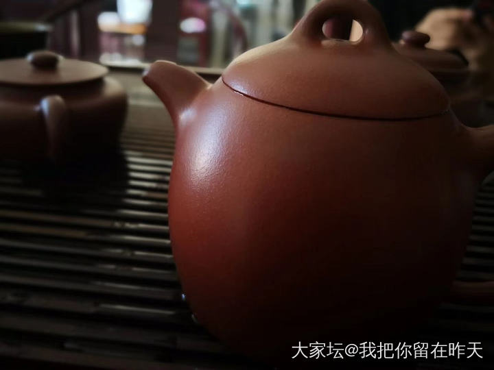 初来乍到_紫砂