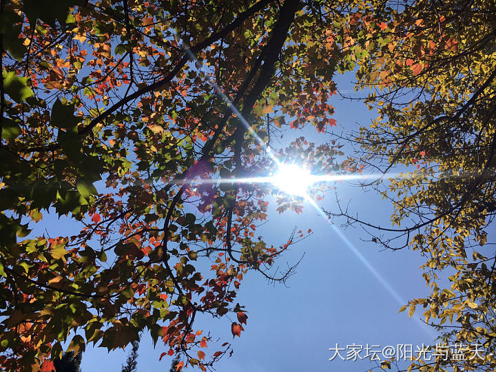 走走逛逛发发呆，随拍，不单调的冬天…_景色